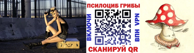 Галлюциногенные грибы Psilocybe  Новый Уренгой 
