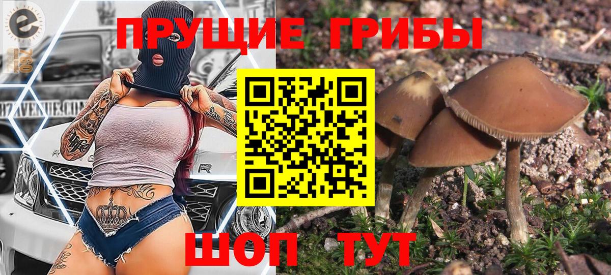 Галлюциногенные грибы ЛСД Новый Уренгой
