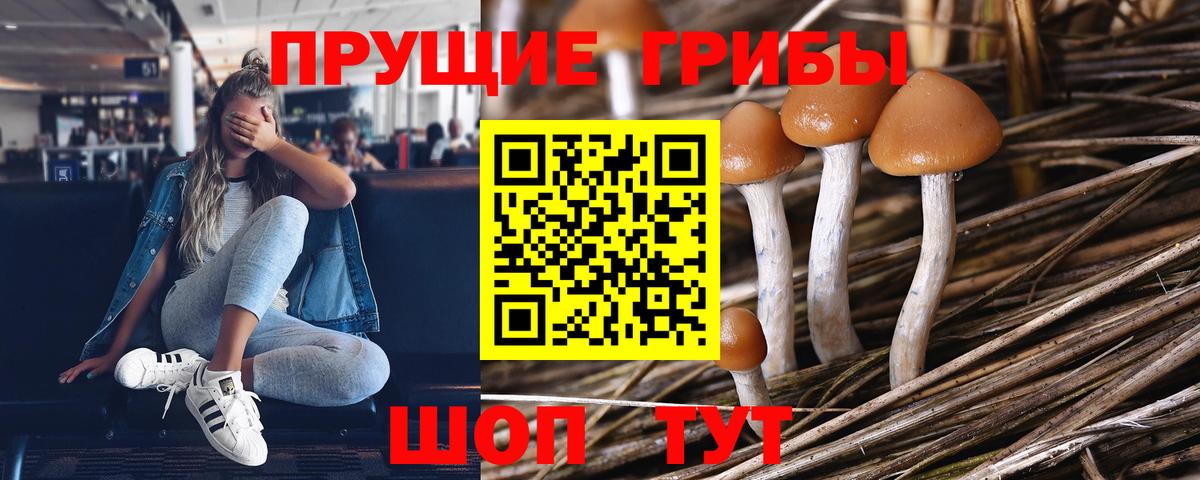Псилоцибиновые грибы мухоморы  Вход с VPN  Новый Уренгой 